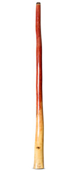 Tristan O'Meara Didgeridoo (TM387)